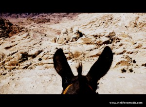 Donkey's Ear View