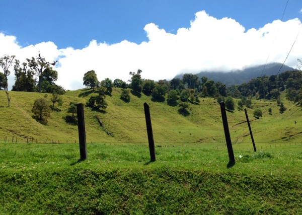 The rolling hills of Cerro Punta.